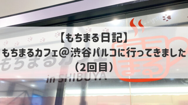 もちまる日記 もち様が可愛すぎて愛用のオモチャ ベッド 猫グッズを調べてみた とある猫好きの宇宙blog